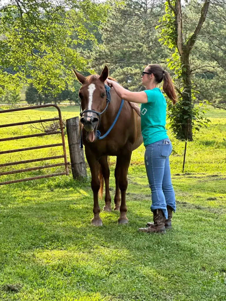Brittany massaging her horse, Gracie.