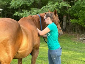 Brittany massaging her horse, Gracie